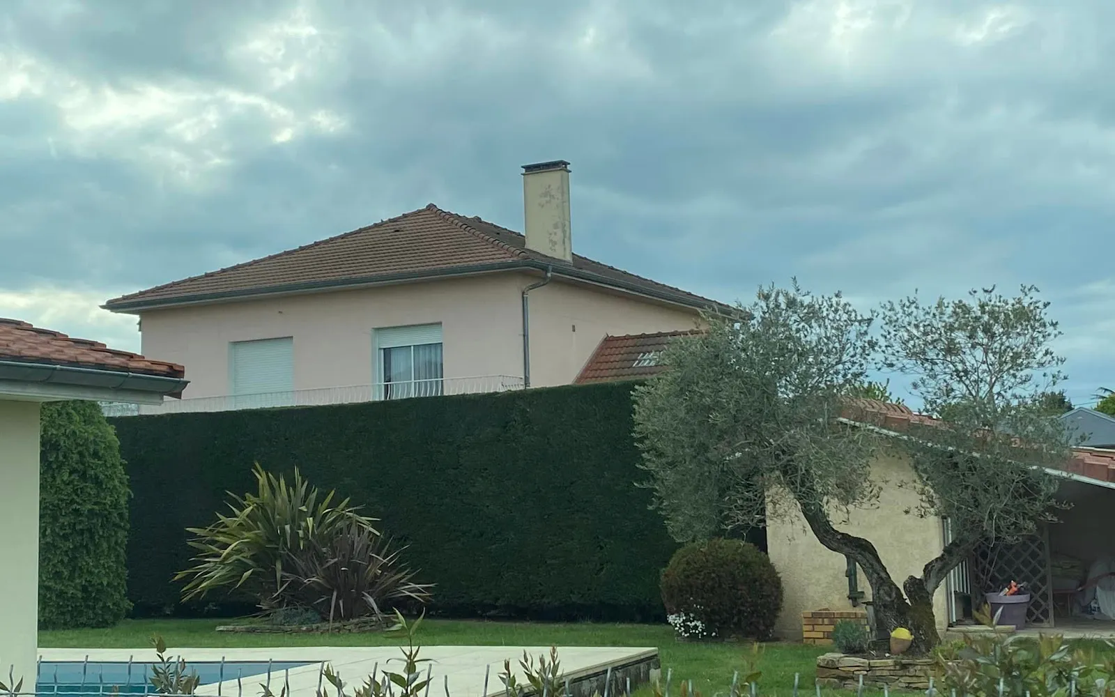 Aménagement extérieur d'un jardin paysager avec haie taillée, olivier et piscine à Tarbes