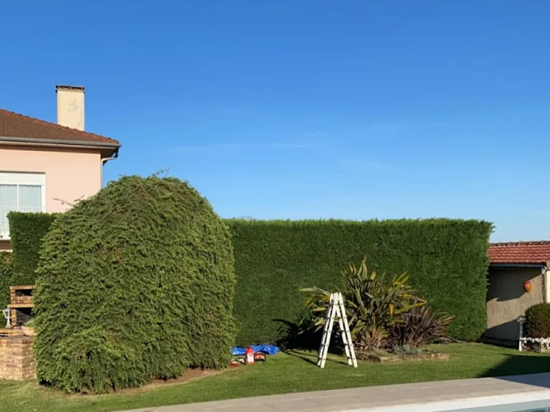 Taille de haie et pelouse tondue lors d'un entretien de jardin à Tarbes
