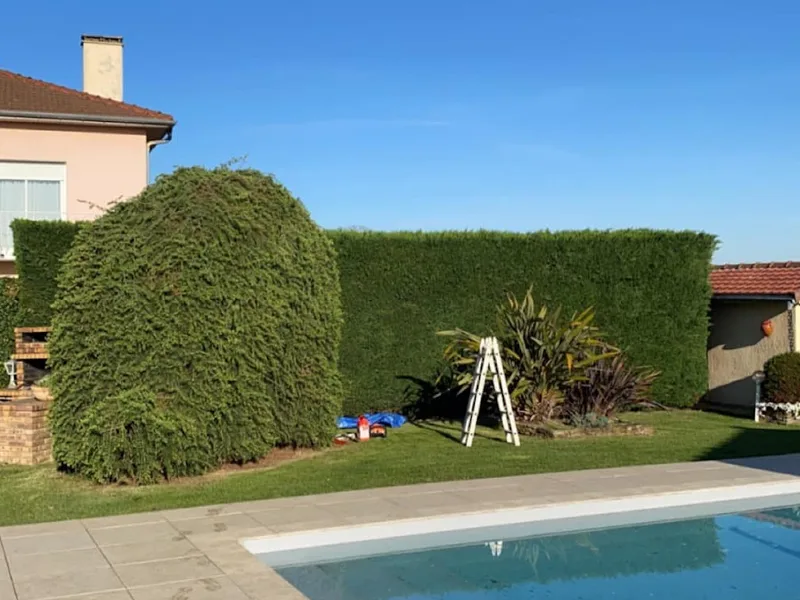 Taille de haie en cours avec taille-haie et escabeau dans un jardin à Tarbes