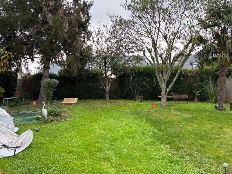 Haie de jardin taillée en limite de propriété à Tarbes