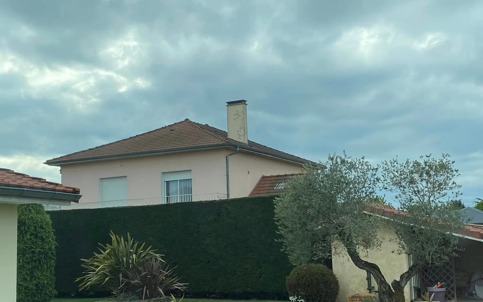 Haute haie de conifères taillée séparant deux jardins à Tarbes