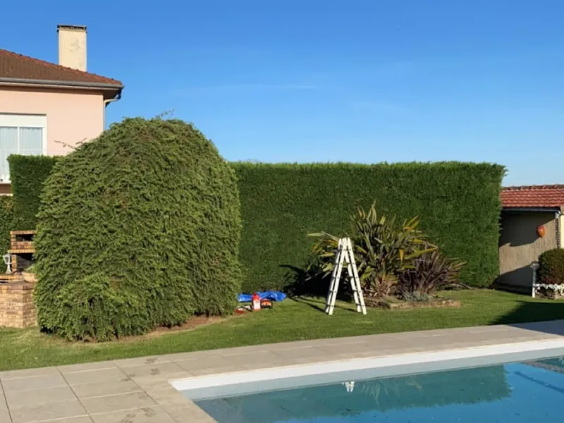 Terrasse en pierre beige au bord d'une piscine dans un jardin a Tarbes