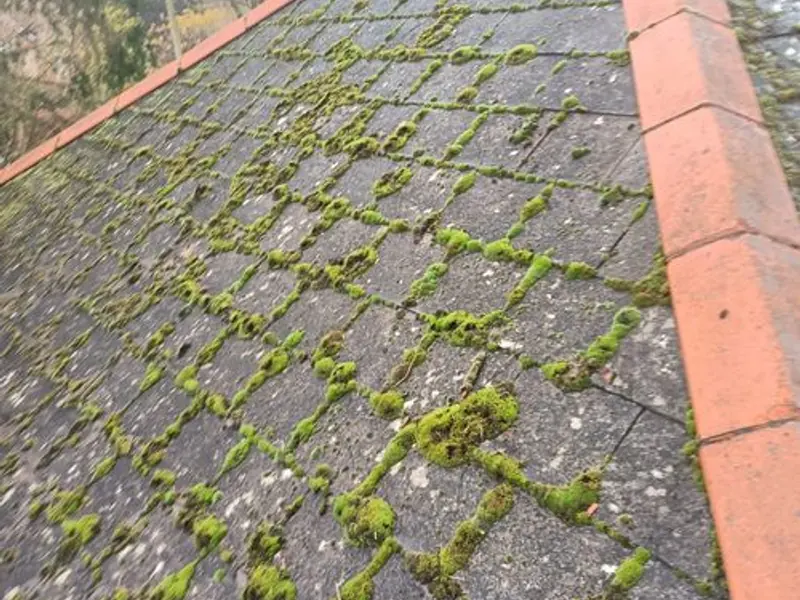 Toiture en tuiles envahie par la mousse avant nettoyage à Tarbes